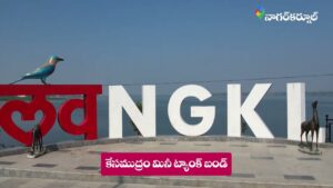 Mana Nagarkurnool